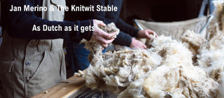 Jan Merino & The Knitwit Stable