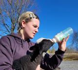 Maak kennis met het team van The Knitwit Stable, Amber