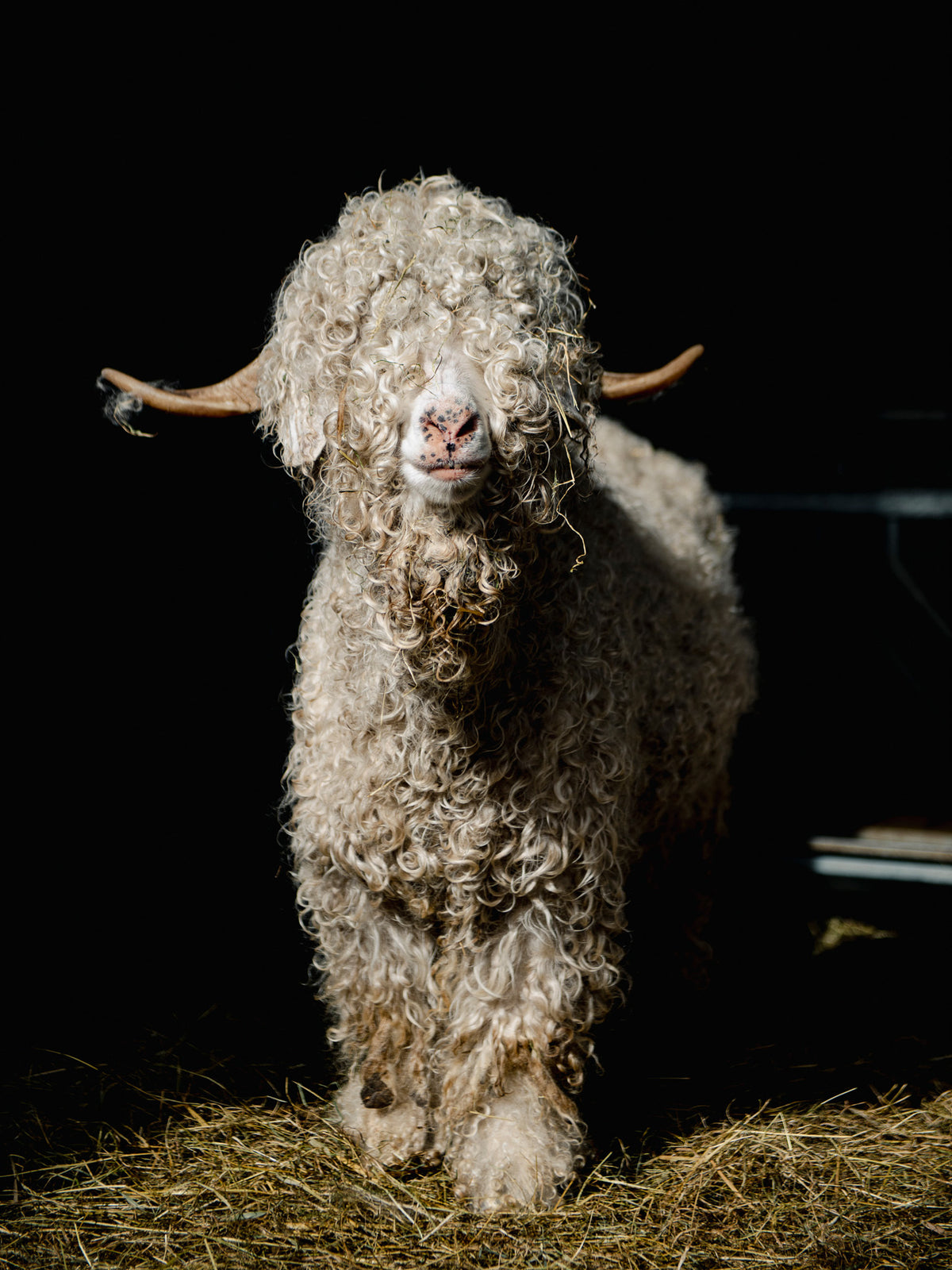 Mohair Throw