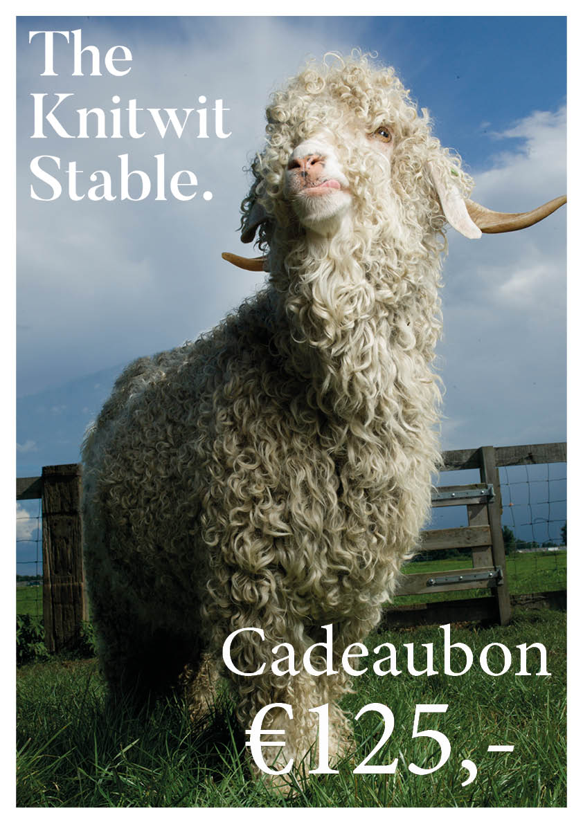 The Knitwit Stable Gift Voucher
