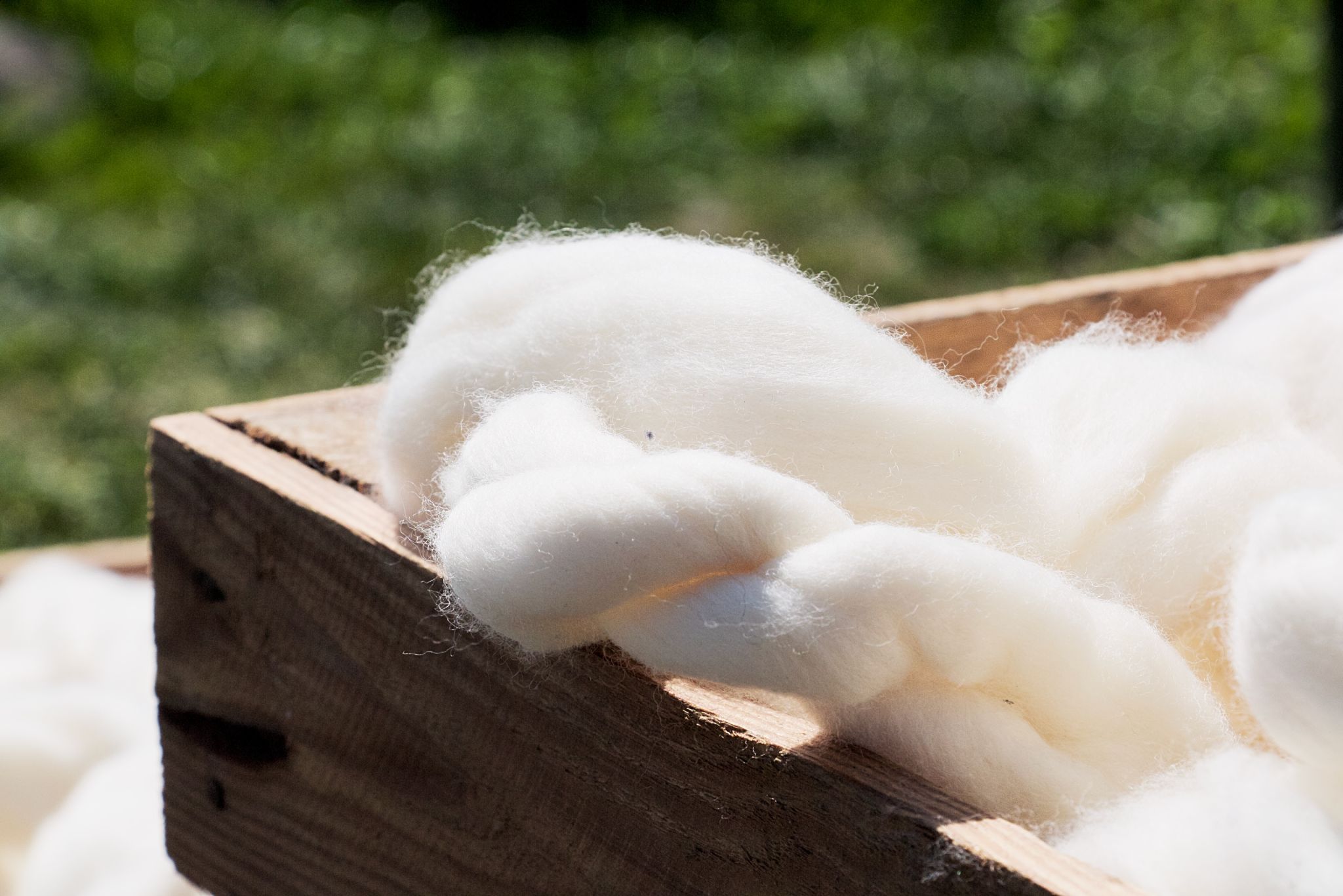 Kempisch Heideschaap filler wool