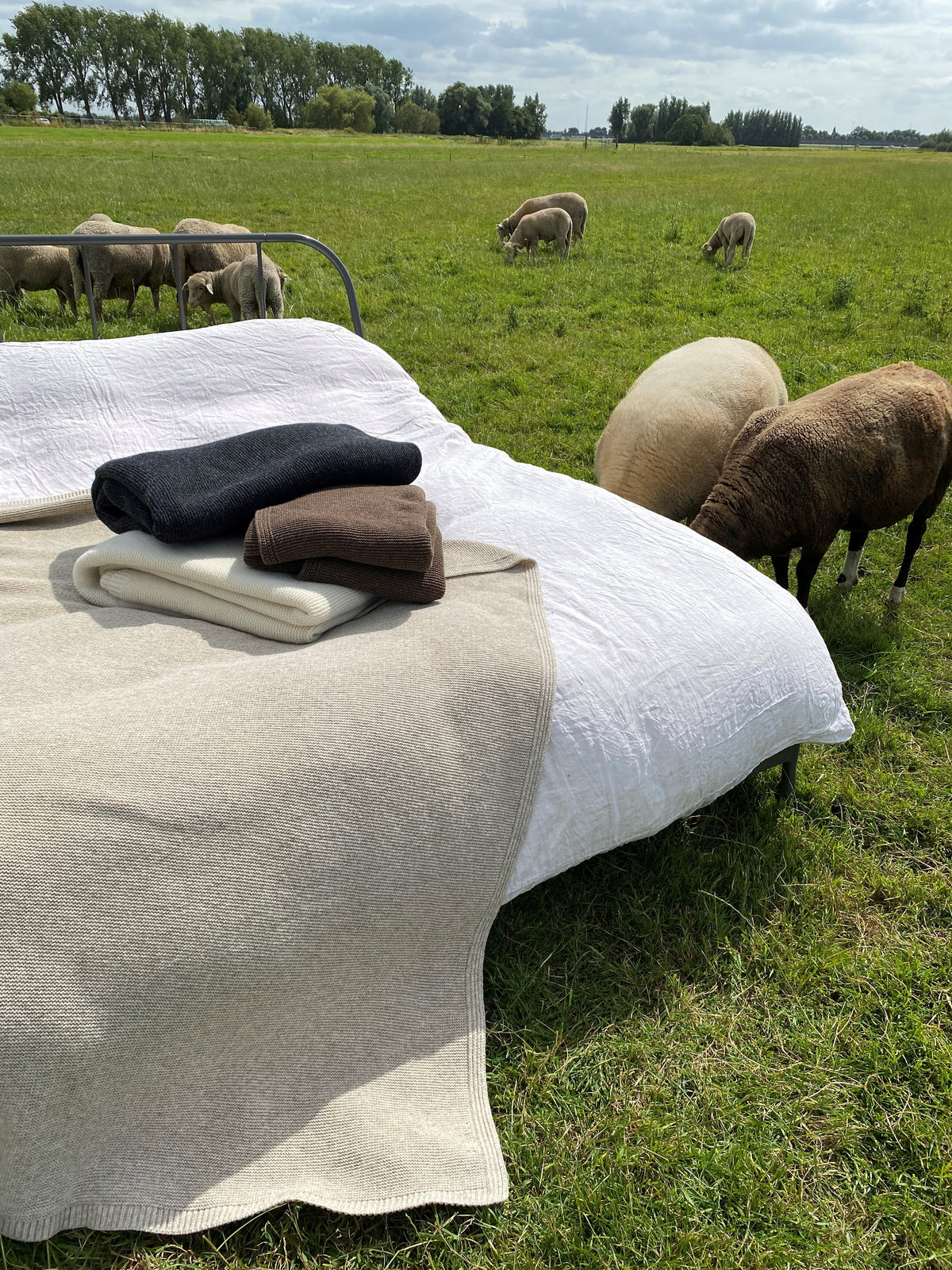 Pien, lambswool throw