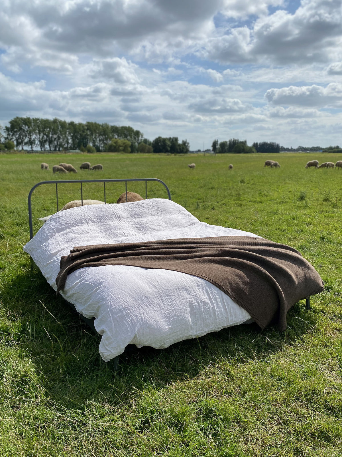 Merino Throw